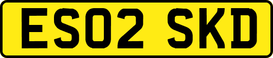 ES02SKD