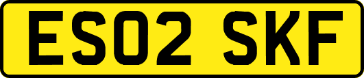 ES02SKF