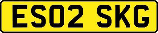 ES02SKG