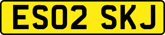 ES02SKJ
