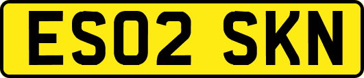 ES02SKN