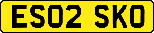 ES02SKO
