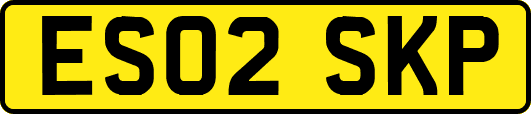 ES02SKP