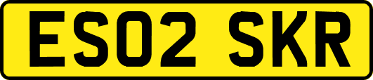 ES02SKR