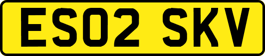 ES02SKV