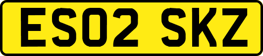 ES02SKZ