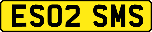 ES02SMS