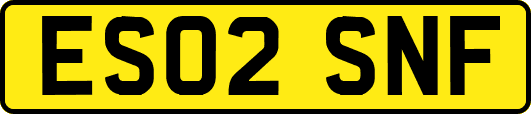 ES02SNF