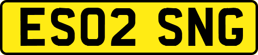 ES02SNG