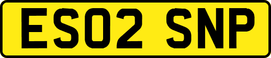 ES02SNP