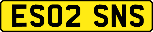 ES02SNS