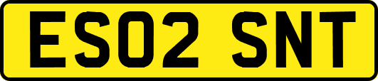 ES02SNT