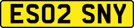 ES02SNY