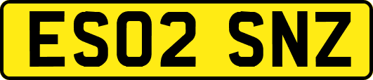 ES02SNZ