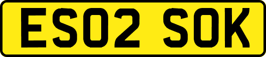 ES02SOK