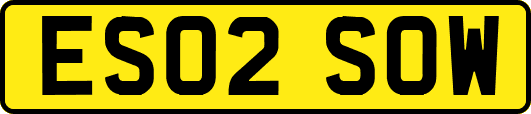 ES02SOW