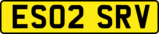 ES02SRV