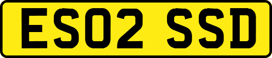 ES02SSD