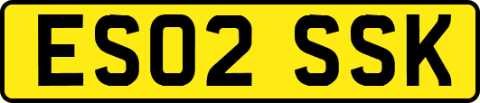 ES02SSK