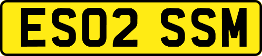 ES02SSM