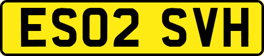 ES02SVH