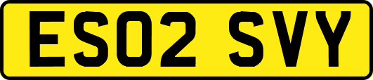 ES02SVY