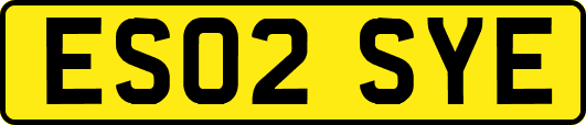ES02SYE