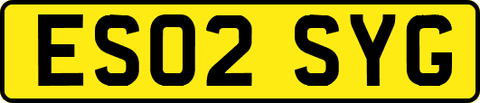 ES02SYG