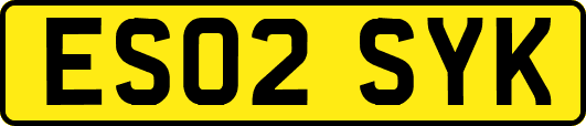 ES02SYK