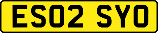 ES02SYO