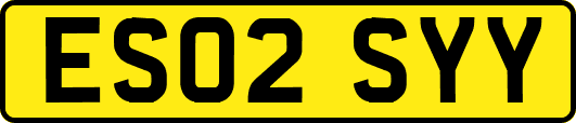 ES02SYY
