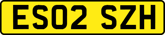 ES02SZH