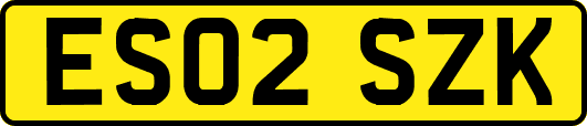 ES02SZK