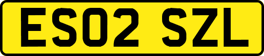 ES02SZL