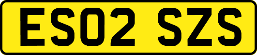 ES02SZS