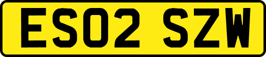 ES02SZW