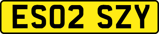 ES02SZY