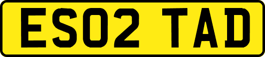 ES02TAD