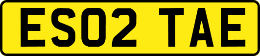 ES02TAE