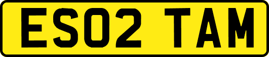 ES02TAM