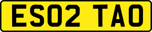 ES02TAO