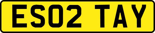 ES02TAY