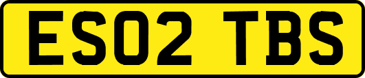 ES02TBS
