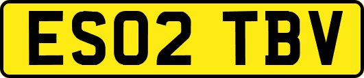 ES02TBV