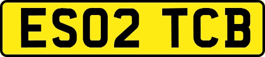 ES02TCB