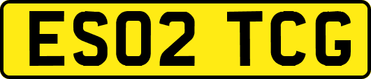 ES02TCG