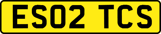 ES02TCS