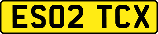 ES02TCX