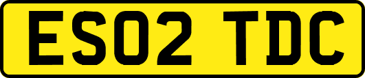 ES02TDC