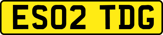 ES02TDG